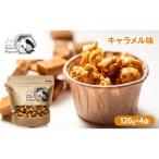 Daily s Popcorn キャラメル味 120g×4袋