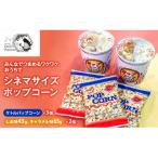 みんなでつまめるワクワク おうちでシネマサイズポップコー…