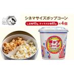 シネマサイズポップコーン しお味43g