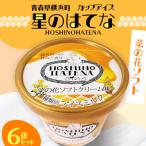 星のはてな 菜の花ソフト 6個セット