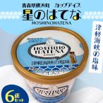 星のはてな 津軽海峡の塩 6個セット