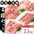 B2-0406 桜島美湯豚 4種セット 計2.1kg