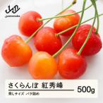 ショッピングふるさと納税 先行予約 ふるさと納税 山辺町 《先行予約》さくらんぼ 紅秀峰 秀Lサイズ 500g バラ詰め