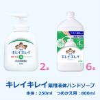キレイキレイ薬用液体ハンドソープ 本体250ml×2本+詰め替え…