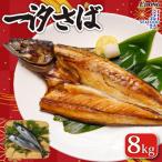 一汐さば 8kg