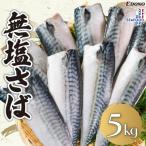 無塩さば 約5kg