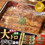 ふるさと納税 鹿屋市 【訳あり】鯉家の蒲焼「大トロうなぎ蒲焼(3尾/約300g)」【国産・手焼き備長炭】