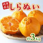 産不知火 しらぬい 約3kg