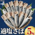適塩さば 5kg