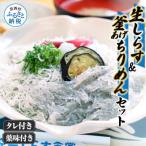 生しらす 釜あげちりめん 特製タレ 薬味セット