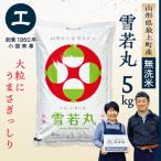 ふるさと納税 最上町 【令和7年産　無洗米】最上町産 雪若丸5kg
