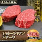 AJ491 長崎和牛 シャトーブリアン ステーキ 約300g