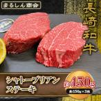 AJ492 長崎和牛 シャトーブリアン ステーキ 約450g