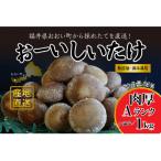 おーいしいたけ 約1kg