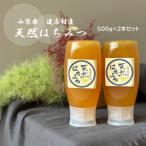 天然はちみつボトルタイプ 500g×2本