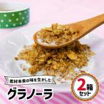 三育フーズのグラノーラ 2箱セット