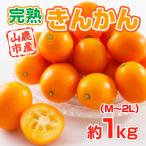 完熟キンカン 約1kg