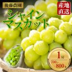 雄宝 1房 約700g~約800g