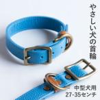 首輪 本革 イタリアンレザー ブルー 中型犬用
