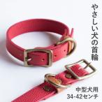 首輪 本革 イタリアンレザー レッド 中型犬用