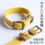 首輪 本革 イタリアンレザー イエロー 中型犬用