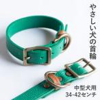 首輪 本革 イタリアンレザー グリーン 中型犬用