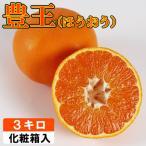 豊王 ほうおう 約3kg