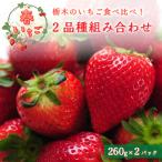 栃木のいちご食べ比べ 2品種組み合わせ