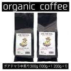 AND THE SOIL.オリジナル焙煎オーガニックコーヒー豆GUA