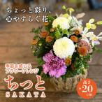 季節を感じるフラワーアレンジ SAKATA