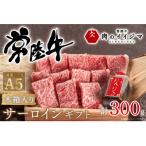 常陸牛A5 焼き肉 サーロイン 2人前