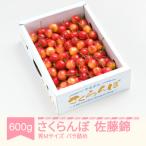 fu.... налог . гора город вишня Sato . превосходящий M размер 600g(600g×1) роза ..2026 год производство Yamagata префектура производство 