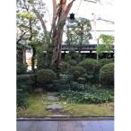 町田屋旅館 ご宿泊利用券 1名様