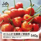 ふるさと納税 山辺町 【先行予約】ご家庭用 佐藤錦 秀品M玉以上 約540g 令和8年産 tf-snpsm540