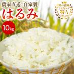 伊勢原産精米10kg はるみ 農家直送 加藤さんちの米
