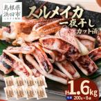 ふるさと納税 浜田市 島根県産浜田市加工　食べ応え大満足のスルメイカ一夜干し(1.6kg)【小分け個包装】