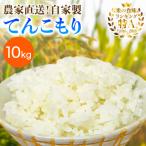 新米 伊勢原産 精米10kg 5kg×2袋