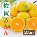 佐賀みかん 約2.5kg