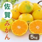 佐賀みかん 約5kg