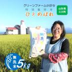 ショッピングふるさと納税 無洗米 ふるさと納税 三川町 【令和7年産・精米】グリーンファーム小野寺の【無洗米】ひとめぼれ5kg PO1-003