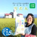 ショッピングふるさと納税 無洗米 ふるさと納税 三川町 【令和7年産・精米】グリーンファーム小野寺の【無洗米】雪若丸5kg PO1-002