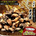 九州産若どり炭火焼もも肉 むね肉ミックス16パック 130g×16…