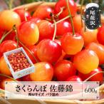 fu.... налог хвост цветок . город вишня Sato . превосходящий M размер 600g 1 коробка роза ..2026 год производство . мир 8 год производство Yamagata префектура 