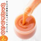 宮崎果汁 グァバドリンク2本セット 720ml×2本