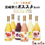驚きの果実感 宮崎果汁オススメセット 720ml×6本