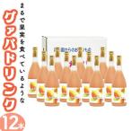 宮崎果汁 グァバドリンク12本セット 各720ml
