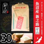魚沼産新之助 玄米 30kg