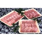 のブランド牛 若狭牛 焼肉セット