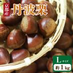 ふるさと納税 京都府 【先行予約・期間限定】　2026年産　京都府産 丹波栗 1kg Lサイズ