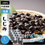宍道湖産冷凍大和しじみ L 500g×8袋